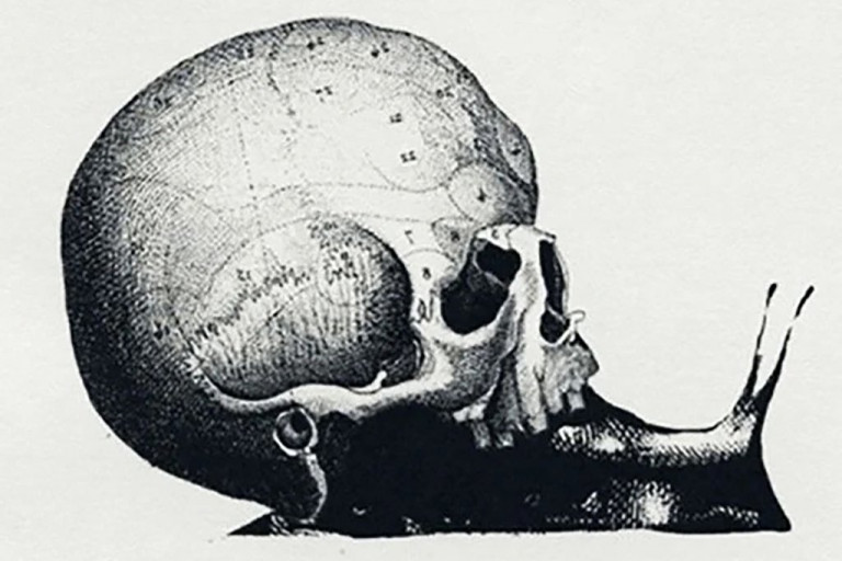 Αυτό που βλέπετε στην εικόνα αποκαλύπτει τη δουλειά των ονείρων σας