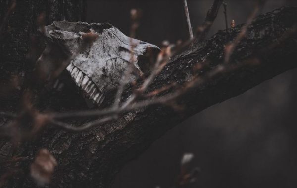 Γυναικοκτονίες – Παιδοκτονίες: Εκεί όπου το κυνήγι μαγισσών δεν έχει… εισαγωγικά