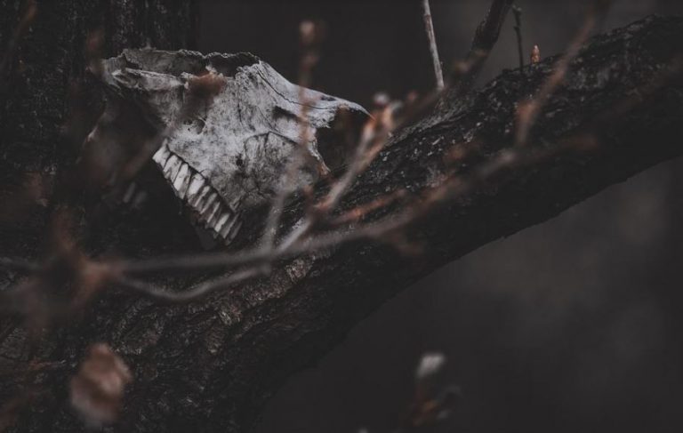 Γυναικοκτονίες – Παιδοκτονίες: Εκεί όπου το κυνήγι μαγισσών δεν έχει… εισαγωγικά