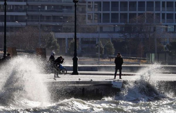 Θεσσαλονίκη: Τουρίστας κολυμπούσε δίπλα σε νεκρά ποντίκια στον Θερμαϊκό