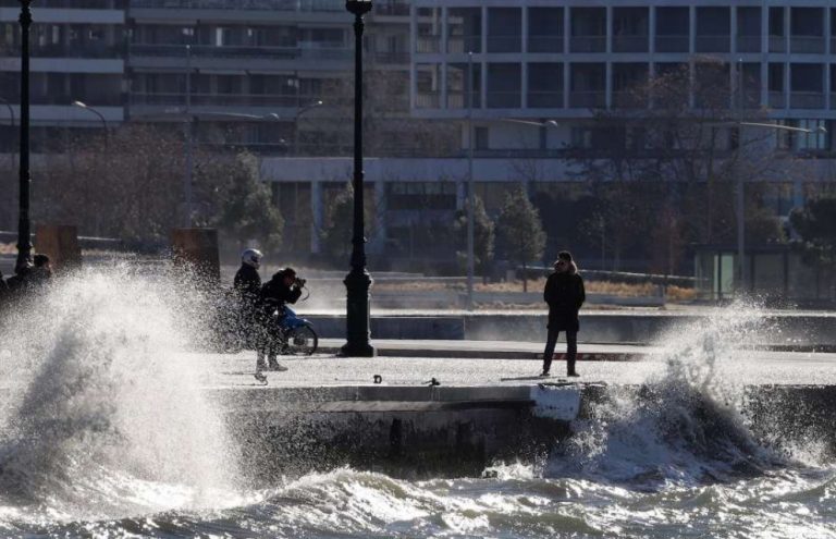 Θεσσαλονίκη: Τουρίστας κολυμπούσε δίπλα σε νεκρά ποντίκια στον Θερμαϊκό