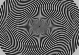 Η οφθαλμαπάτη που έγινε viral – Εσείς ποιόν αριθμό βλέπετε;