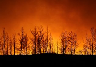 Τζιχάντ Γιαϊτζί: Τις φωτιές στην Τουρκία βάζει η Ελλάδα σε συνεργασία με το ΡΚΚ