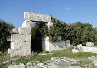 Γερμανική έρευνα: Περίπου 250 από τα 280 ευρήματα ανασκαφών της Σάμου έφτασαν παράνομα στο Βερολίνο