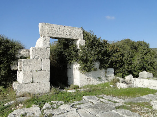 Γερμανική έρευνα: Περίπου 250 από τα 280 ευρήματα ανασκαφών της Σάμου έφτασαν παράνομα στο Βερολίνο