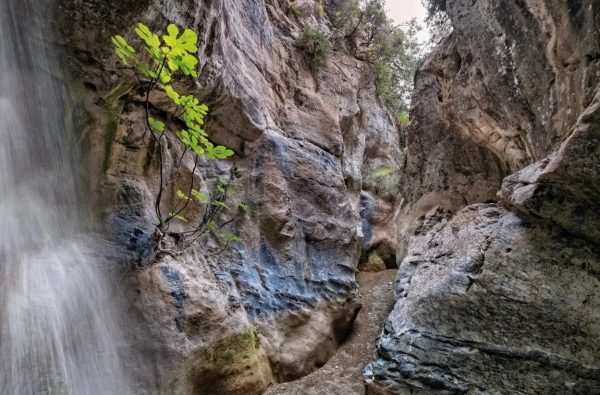 Άρβη: Έγινε γνωστή λόγω των σεισμών, αλλά διαθέτει ένα ονειρικό φαράγγι με φυσική πηγή