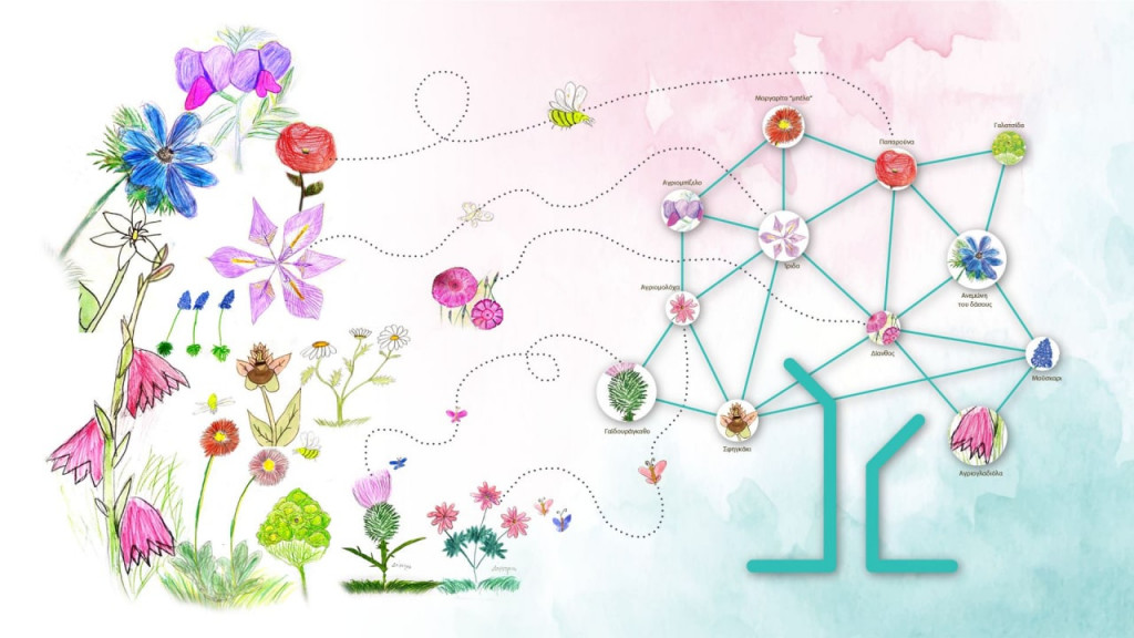 Τα «Αγριολούλουδα» της Βόρειας Εύβοιας, πρόγραμμα ανασυγκρότησης της περιοχής