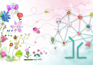 Τα «Αγριολούλουδα» της Βόρειας Εύβοιας, πρόγραμμα ανασυγκρότησης της περιοχής