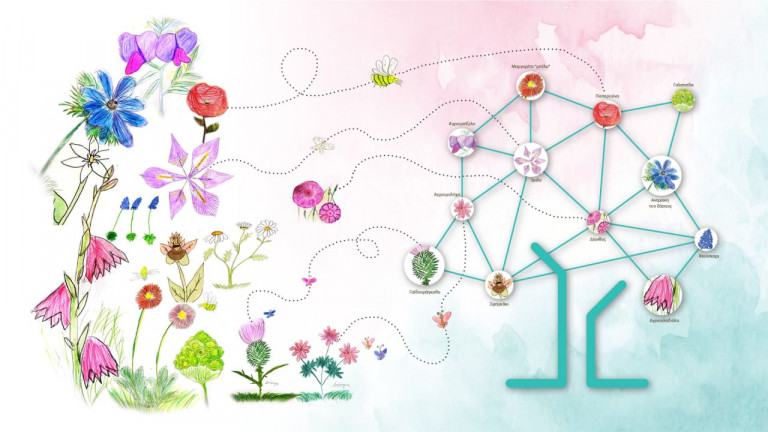 Τα «Αγριολούλουδα» της Βόρειας Εύβοιας, πρόγραμμα ανασυγκρότησης της περιοχής