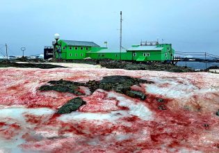 Κλιματική αλλαγή: Το «ματωμένο χιόνι» απειλεί τους αλπικούς πάγους