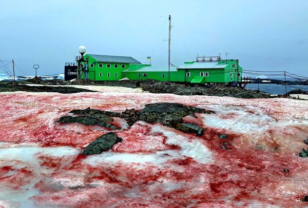 Κλιματική αλλαγή: Το «ματωμένο χιόνι» απειλεί τους αλπικούς πάγους