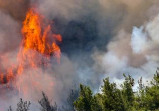 Τουρκία: Συνελήφθη και ομολόγησε ο εμπρηστής της Μαρμαρίδας