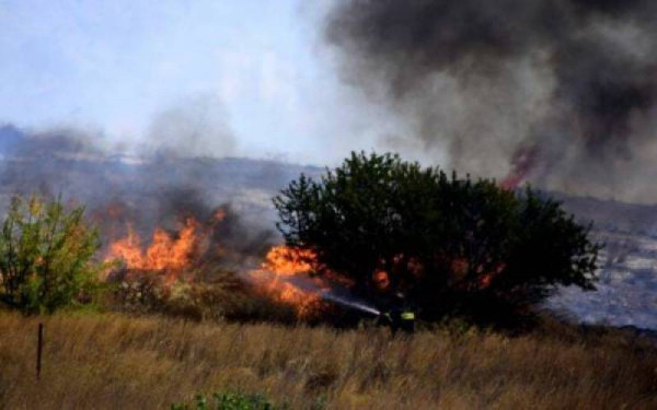 Μεσσηνία: Υπό μερικό έλεγχο η φωτιά στους Χράνους