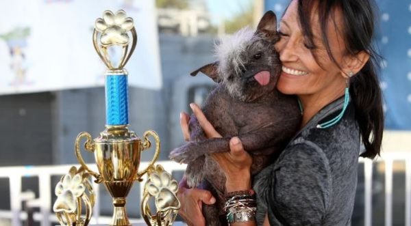 ΗΠΑ: Ο πιο άσχημος σκύλος του κόσμου για το 2022