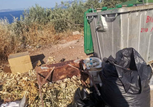 Επίδαυρος: Στο έλεος των βανδάλων και των ασυνείδητων ο Δήμος