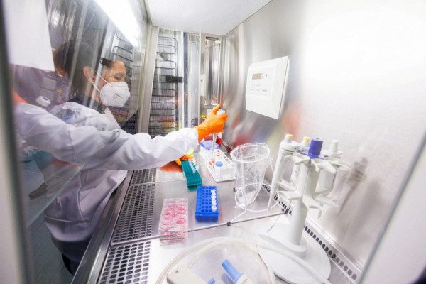 Ευλογιά των πιθήκων: Γιατί τα κρούσματα διατηρούνται σε χαμηλό επίπεδο – Τι είπε η Μίνα Γκάγκα για τον εμβολιασμό το φθινόπωρο