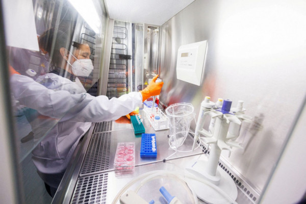 Ευλογιά των πιθήκων: Γιατί τα κρούσματα διατηρούνται σε χαμηλό επίπεδο - Τι είπε η Μίνα Γκάγκα για τον εμβολιασμό το φθινόπωρο