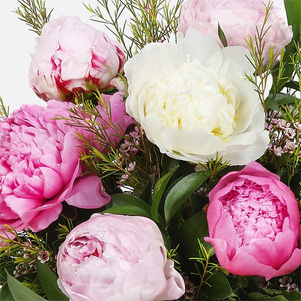 Πετρούπολη: Μικροί κηπουροί φυτεύουν την πόλη