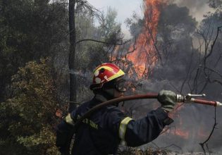Φωτιά: Αναζωπυρώθηκε στο Σχιστό Κορυδαλλού