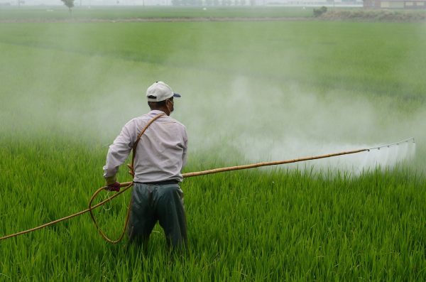 ΕΕ: Μείωση στην χρήση χημικών φυτοφαρμάκων – Τι δείχνουν τα στοιχεία