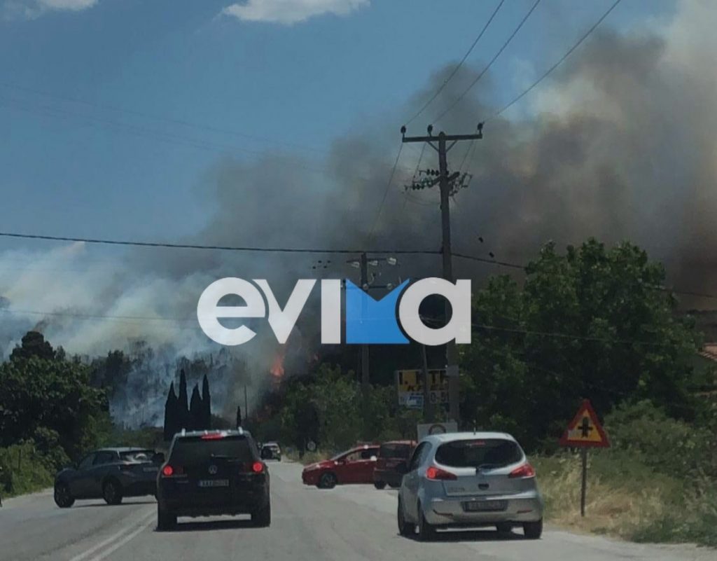 Φωτιά στην Εύβοια: Χωρίς ρεύμα το Αλιβέρι και ο Κάραβος