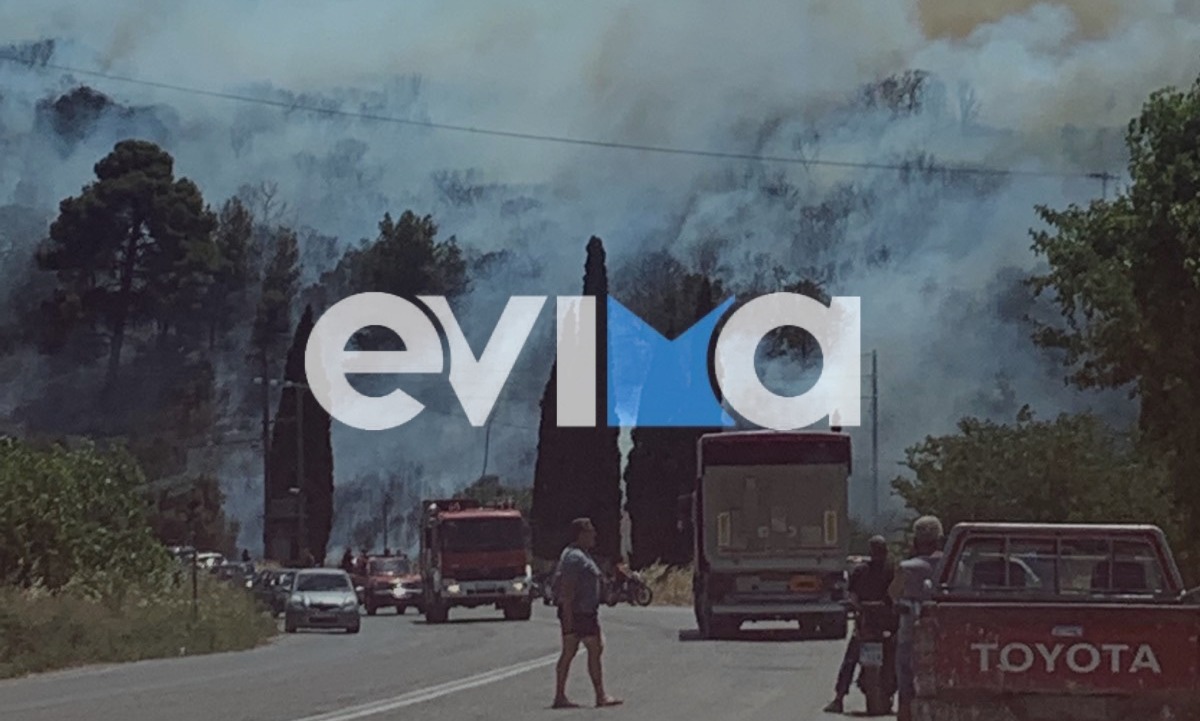 Φωτιά στην Εύβοια: Καίγεται δασική έκταση στο Αλιβέρι - Κοντά σε κατοικημένη περιοχή