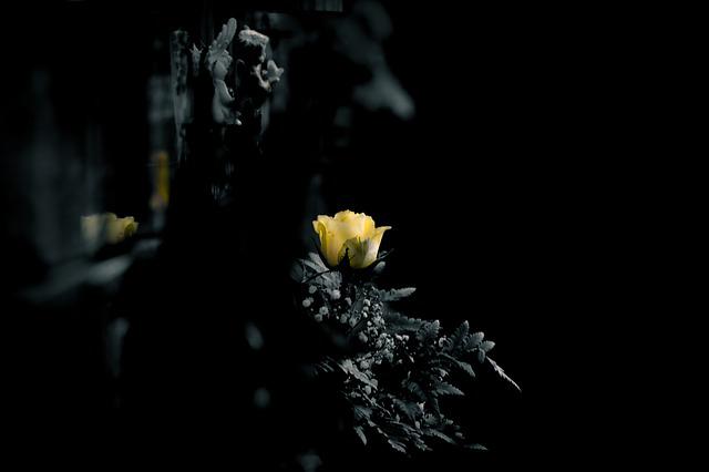 Θεσσαλονίκη: Νέα τραγωδία με θάνατο 12χρονου κοριτσιού – Νέες αποκαλύψεις για τα αίτια