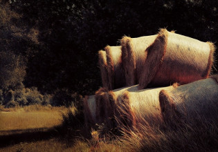 Ταμείο Ανάκαμψης: Τι αλλάζει στις δράσεις του Οικονομικού Μετασχηματισμού του αγροτικού τομέα