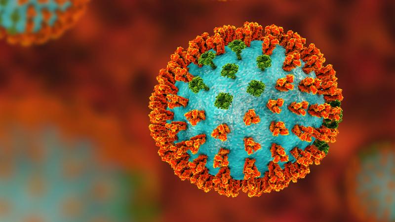 Καθηγητής παθολογίας: Αν παρουσιαστεί τώρα μία νέα μετάλλαξη ιού της γρίπης, θα έχουμε μία καινούργια πανδημία