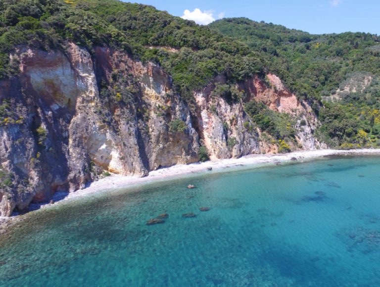 Λάρισα: Έκανε μπάνιο και είδε δίπλα της αυτό το αμφίβιο δηλητηριώδες σκαθάρι