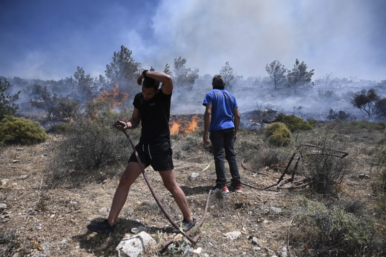 Μέτρα για τις φωτιές: Καθαρισμός δασών, συντήρηση σε δασικούς δρόμους και αντιπυρικές ζώνες