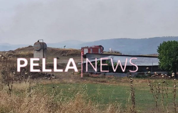 Πέλλα: Μαίνεται η φωτιά, ενισχύονται οι δυνάμεις – Έξι εναέρια επιχειρούν