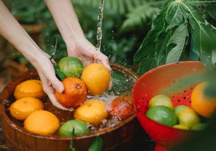 Σρι Λάνκα: Υιοθετεί εργάσιμη εβδομάδα τεσσάρων ημερών στο Δημόσιο – Για να καλλιεργούν τους κήπους τους οι υπάλληλοι