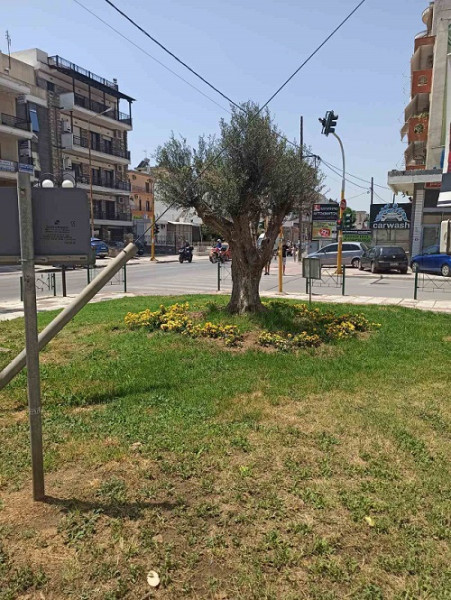 Κάλεσμα για περιβαλλοντικό εθελοντισμό από τον Δήμο Κορδελιού Ευόσμου