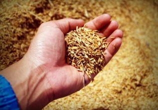 Γεωργαντάς: Υπάρχει επάρκεια σιτηρών στην ελληνική αγορά – Τι είπε για τις ενισχύσεις των αγροτών