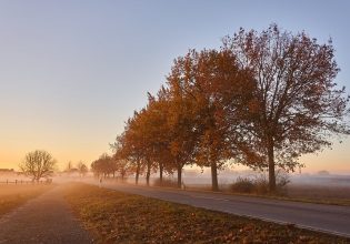 ΕΕ: Παγκόσμια απάντηση στην επισιτιστική ασφάλεια