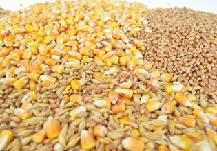 Αγροτικά προϊόντα: Παρατείνεται η υποχρέωση δήλωσης αποθεμάτων