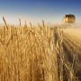 Γερμανία: Ανακοίνωσε δοκιμαστική διαδρομή για τις εξαγωγές ουκρανικών σιτηρών