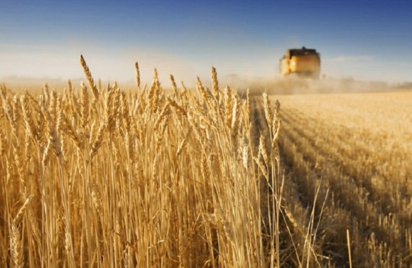 Ουκρανία: Οργανώνει δύο διαδρόμους εξαγωγής σιτηρών μέσω Πολωνίας και Ρουμανίας