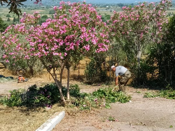 Έτοιμο να υποδεχτεί παραστάσεις και συναυλίες το θέατρο «Ολύμπια» στην Αρχαία Ολυμπία