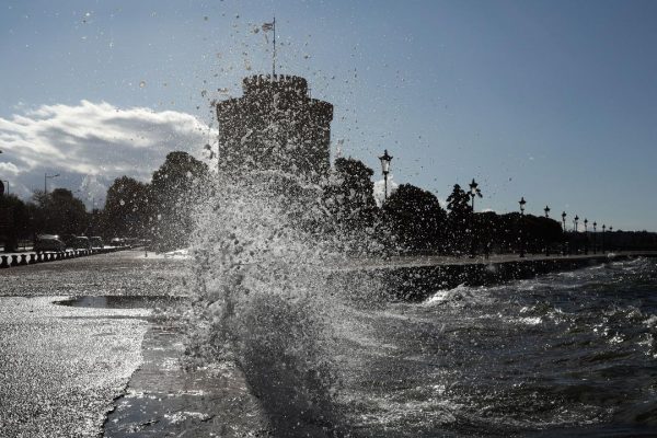 Θερμαϊκός: Γιατί γέμισε νεκρά ποντίκια -Καθηγητής εξηγεί