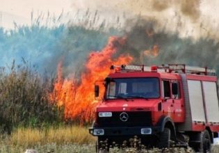 Βόλος: Φωτιά στον Αλμυρό