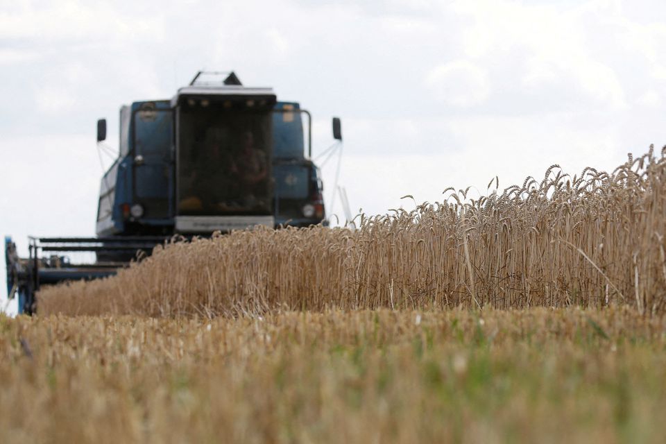 Ουκρανία: Εξαγωγή σιτηρών με «πονηρά σχέδια» στη Βόρεια Αμερική, τη Μέση Ανατολή και την Αφρική