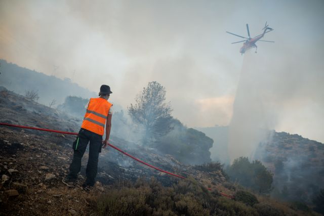 Συνολικά 42 πυρκαγιές εκδηλώθηκαν το τελευταίο εικοσιτετράωρο