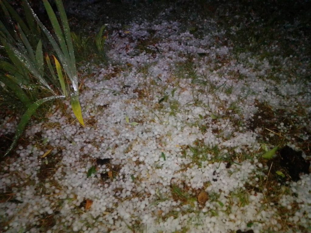 Γρεβενά: Μεγάλες ζημιές σε καλλιέργειες από χαλάζι