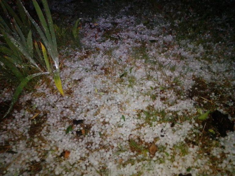 Γρεβενά: Μεγάλες ζημιές σε καλλιέργειες από χαλάζι