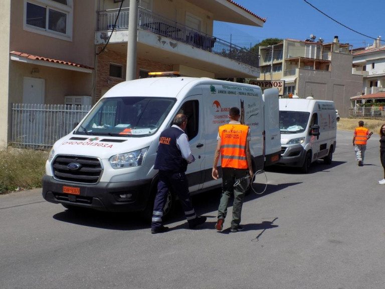 Μεγάλη επιχείρηση περισυλλογής αδέσποτων ζώων από το Δήμο Φυλής