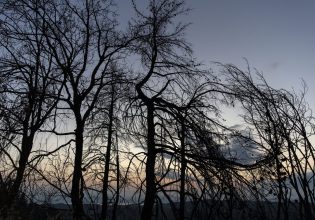 Βόρεια Εύβοια: Ενας χρόνος μετά τις φωτιές και ο θυμός σιγοκαίει ακόμα