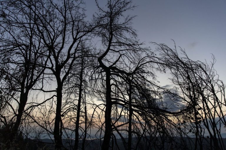 Βόρεια Εύβοια: Ενας χρόνος μετά τις φωτιές και ο θυμός σιγοκαίει ακόμα