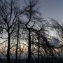 Βόρεια Εύβοια: Ενας χρόνος μετά τις φωτιές και ο θυμός σιγοκαίει ακόμα